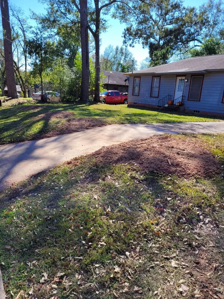 Expert lawn mowing service for year-round maintenance across Lufkin, TX - One Way Stump Grinding & Lawn Care