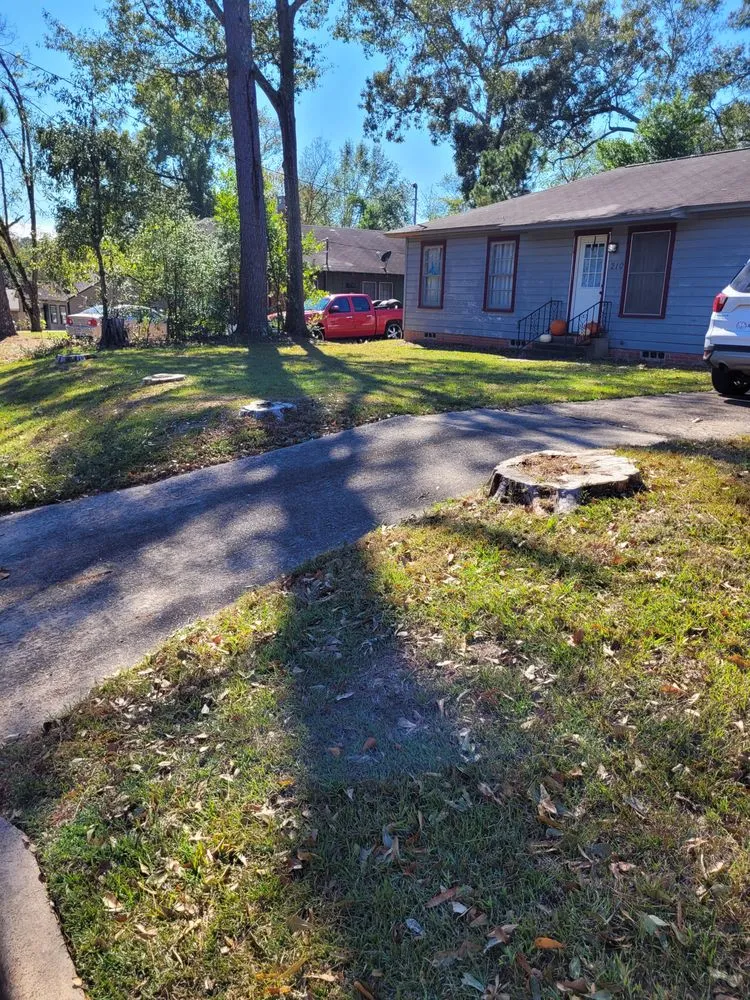 Reliable landscape design for homes across Lufkin, TX - One Way Stump Grinding & Lawn Care