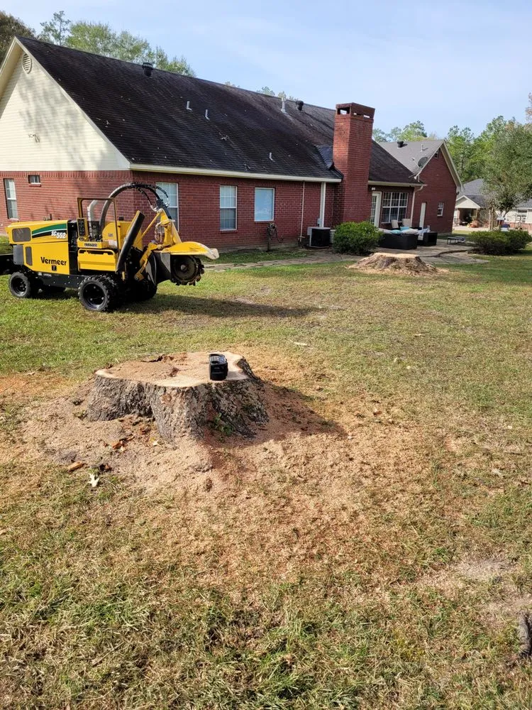 Top-rated yard maintenance in Lufkin, TX by One Way Stump Grinding & Lawn Care