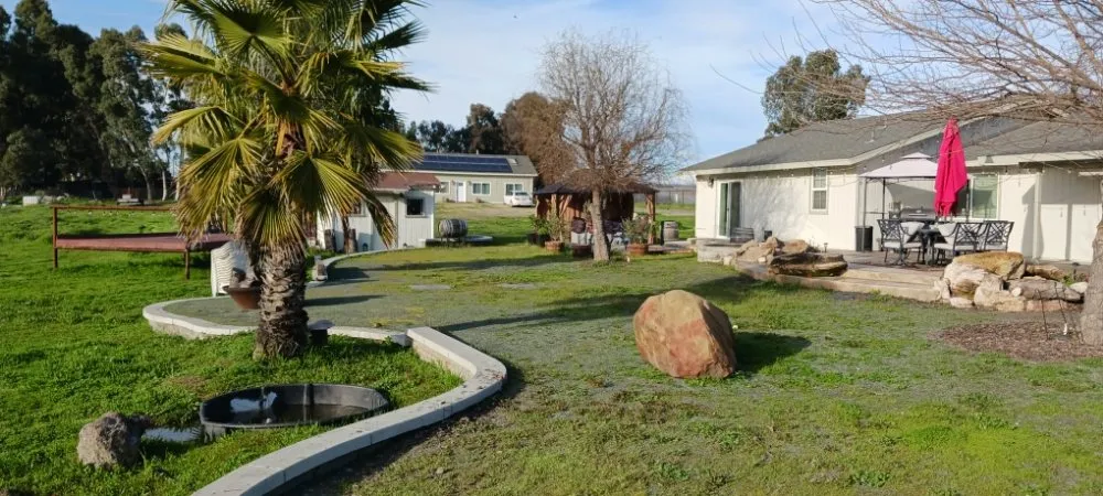 Trusted lawn mowing service experts serving Paso Robles, CA - One White Boy Weed Abatement