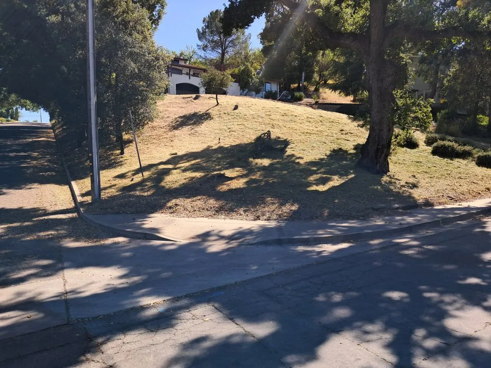 Top-rated yard maintenance in Paso Robles, CA - One White Boy Weed Abatement