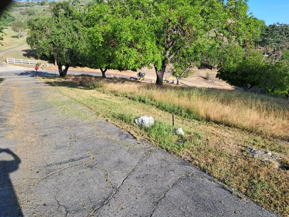 Professional yard maintenance near you in Paso Robles, CA by One White Boy Weed Abatement
