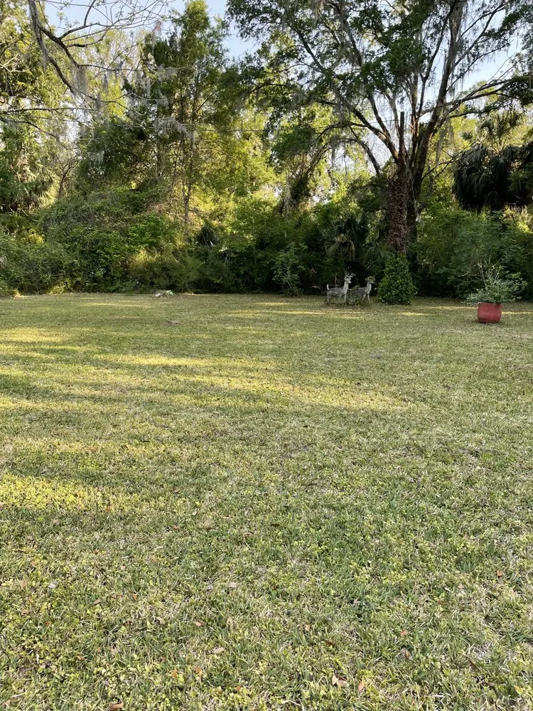 Professional landscape design in Cross City, FL - O’Neal and Sons Lawn Care