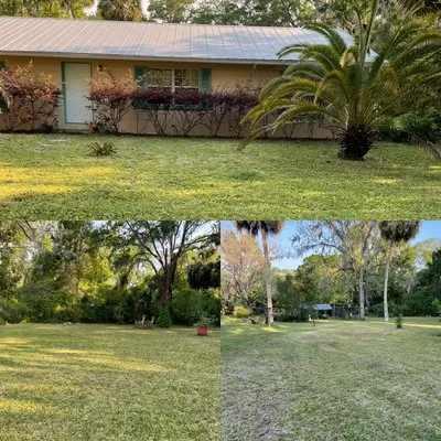 O’Neal and Sons Lawn Care