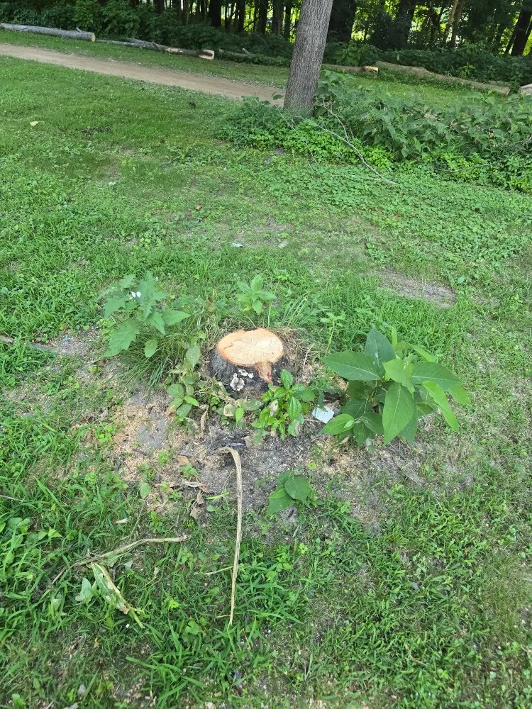 Local landscape installation experts serving Clinton, IN - ONeals Stump Grinding