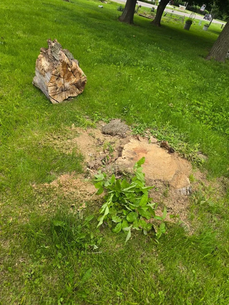 Custom garden landscaping in Clinton, IN by ONeals Stump Grinding