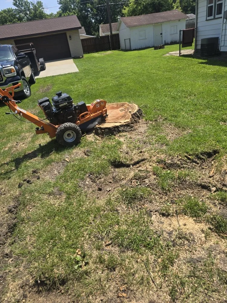Local residential landscaping in Clinton, IN by ONeals Stump Grinding