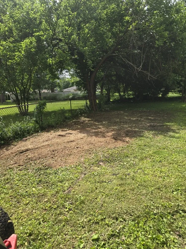 Top-rated yard maintenance for beautiful yards across Clinton, IN - ONeals Stump Grinding