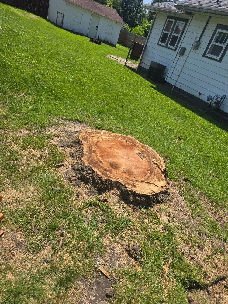 Professional yard cleanup service for beautiful yards in Clinton, IN by ONeals Stump Grinding