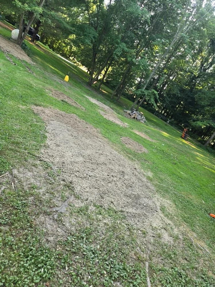 Expert outdoor landscaping experts serving Clinton, IN - ONeals Stump Grinding