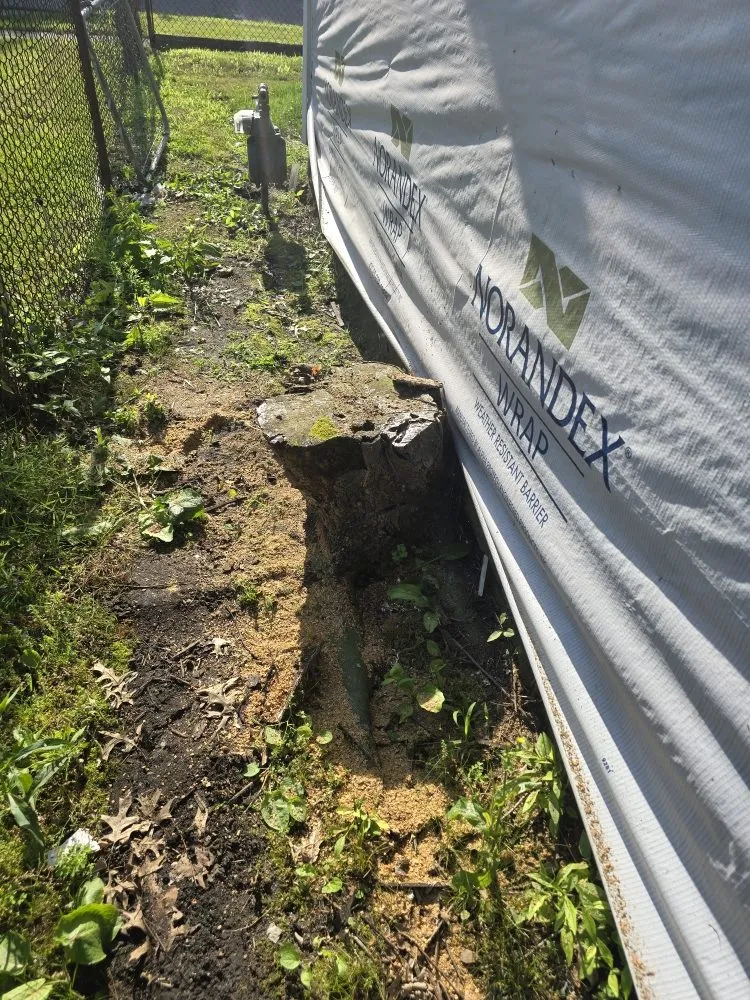 Expert landscaping services near you across Clinton, IN - ONeals Stump Grinding