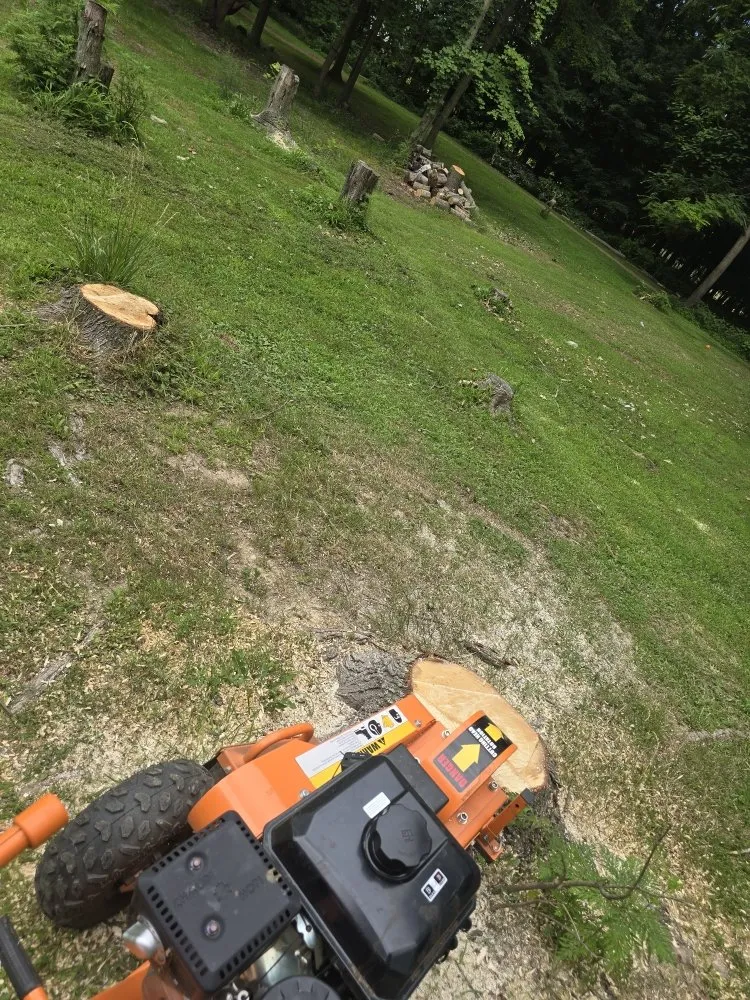 Custom landscaping services experts serving Clinton, IN - ONeals Stump Grinding