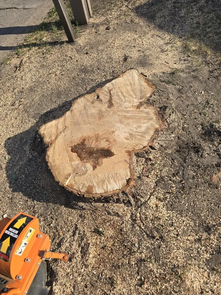 Custom residential landscaping in Clinton, IN - ONeals Stump Grinding