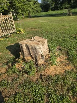 ONeals Stump Grinding