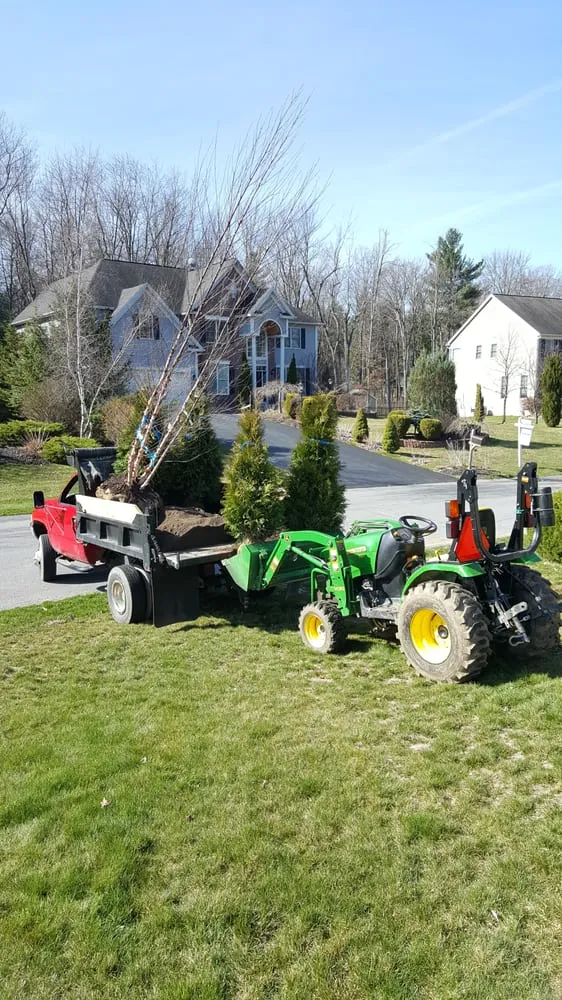 Expert yard cleanup service in Clifton Park, NY - O'Neil Enterprises