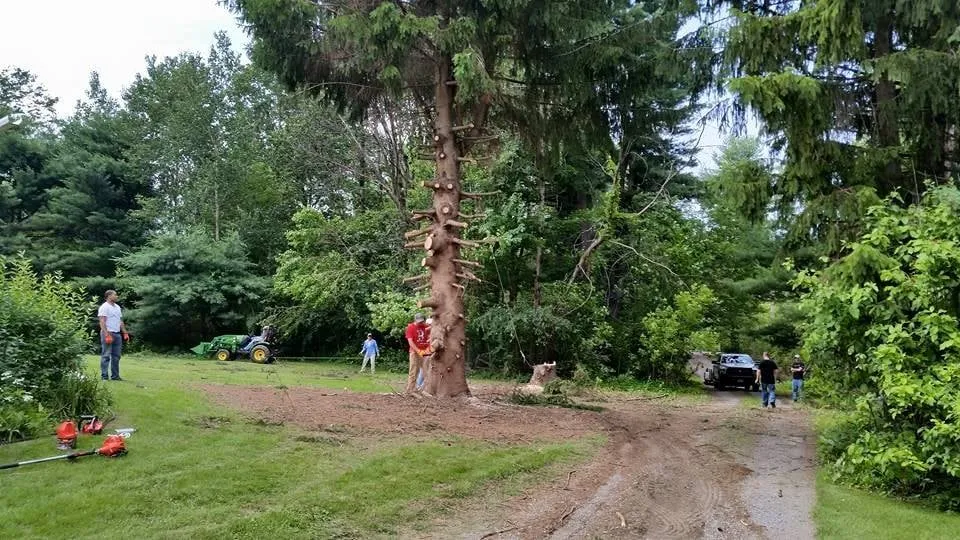 Reliable lawn mowing service in Clifton Park, NY by O'Neil Enterprises