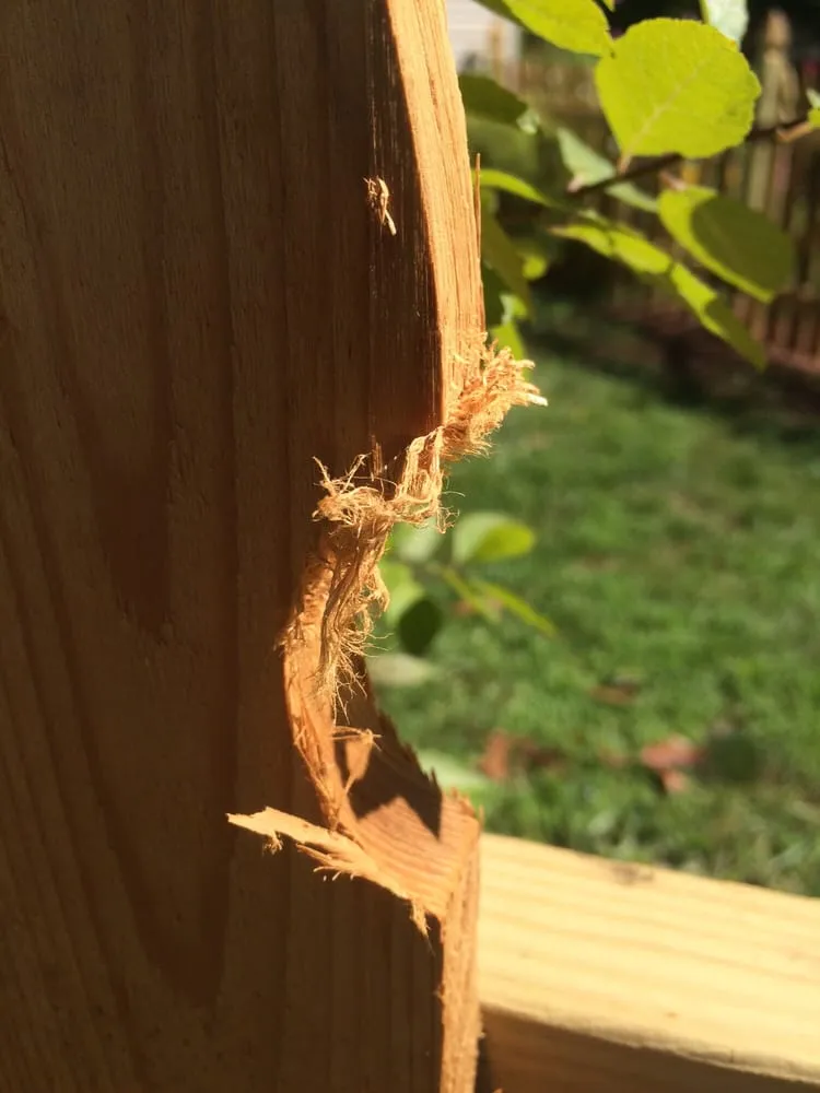 Reliable lawn mowing service experts serving Schwenksville, PA - O'neill Fence Company