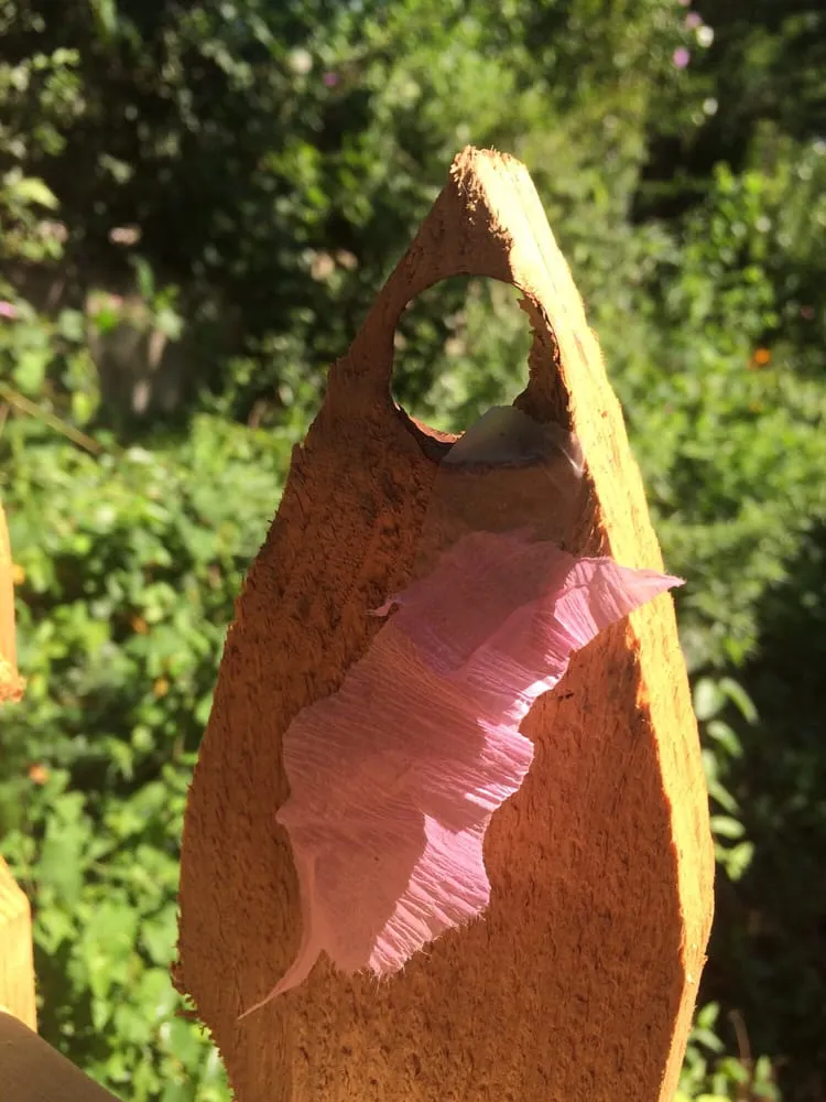 Expert landscaping services for outdoor upgrades across Schwenksville, PA - O'neill Fence Company