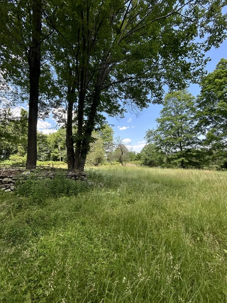 Expert residential landscaping experts serving Westtown, NY - O’Neill Landscaping