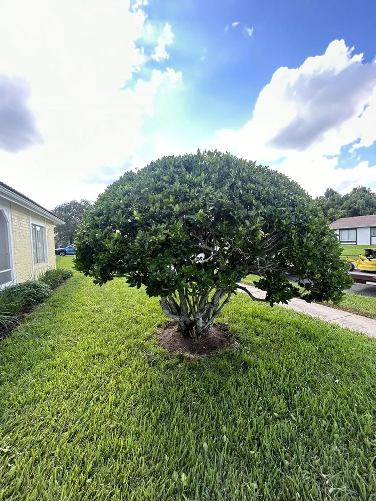 Local landscaping services experts serving Ocoee, FL - Oneill lawn care