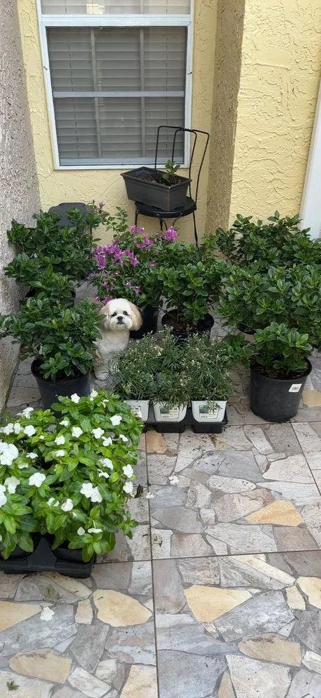 Reliable lawn mowing service in Palm Bay, FL - O'Neils Landscaping & Pressure Washing