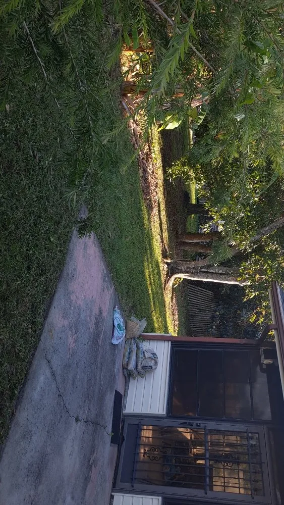 Reliable outdoor landscaping in Palm Bay, FL - O'Neils Landscaping & Pressure Washing