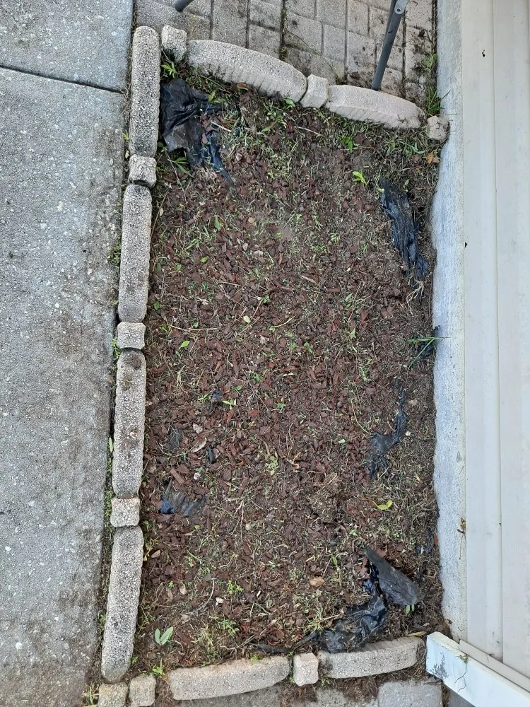 Local yard maintenance for outdoor upgrades across Palm Bay, FL - O'Neils Landscaping & Pressure Washing