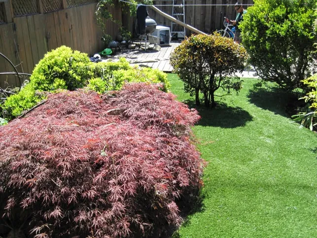 Professional garden landscaping in Gilroy, CA by Onelawn Gilroy