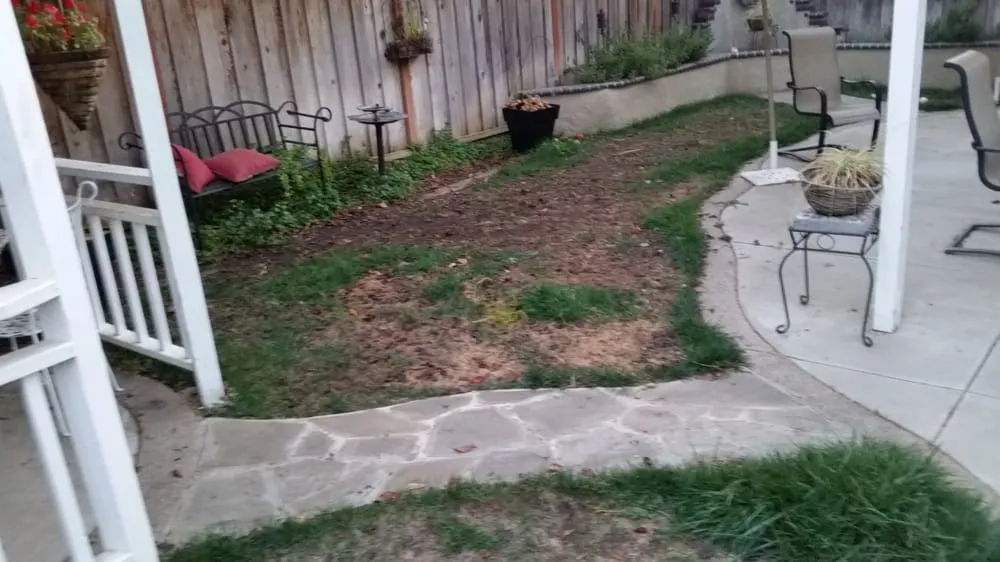 Reliable landscape installation in Gilroy, CA by Onelawn Gilroy