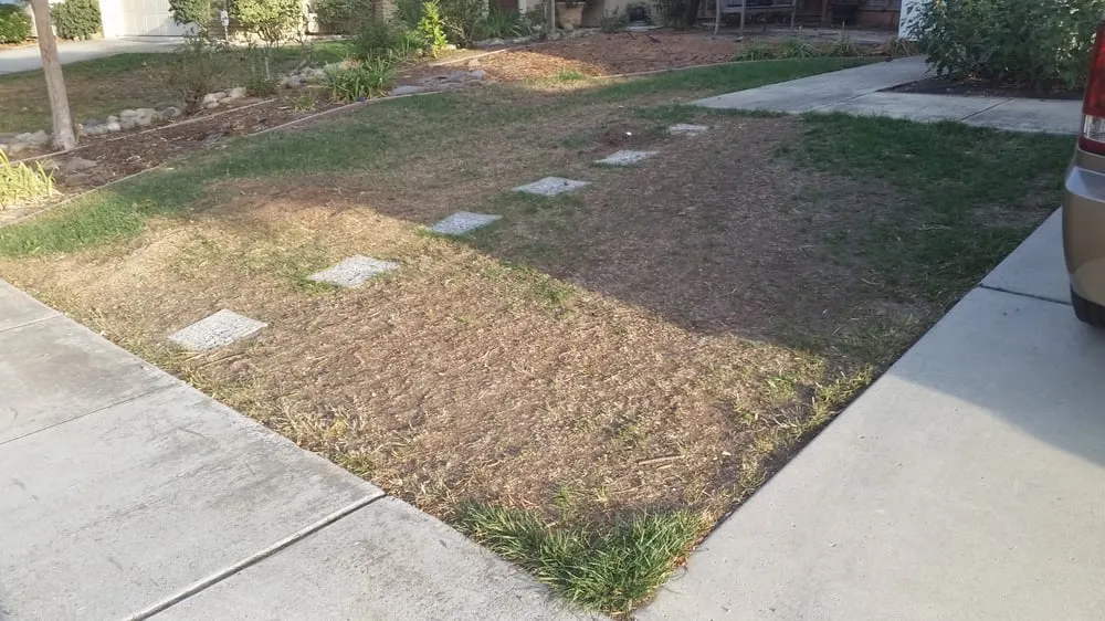 Top-rated lawn mowing service experts serving Gilroy, CA - Onelawn Gilroy