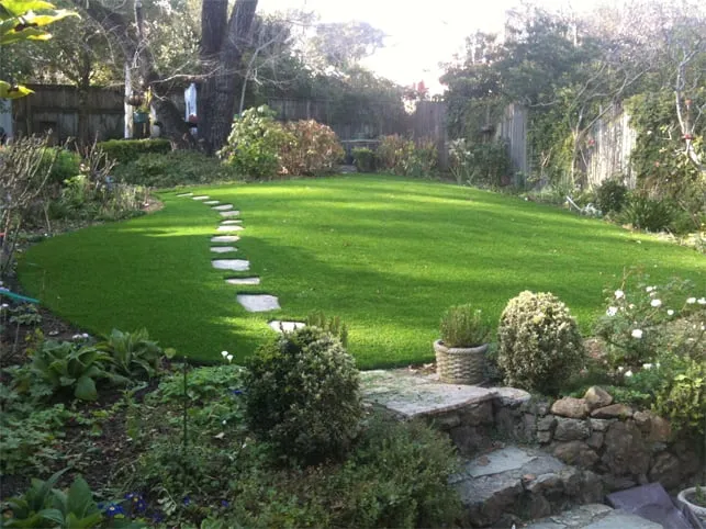Top-rated lawn care service for beautiful yards in Gilroy, CA by Onelawn Gilroy
