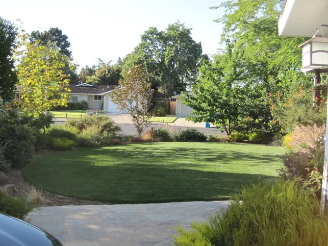 Trusted outdoor landscaping for homes in Gilroy, CA by Onelawn Gilroy