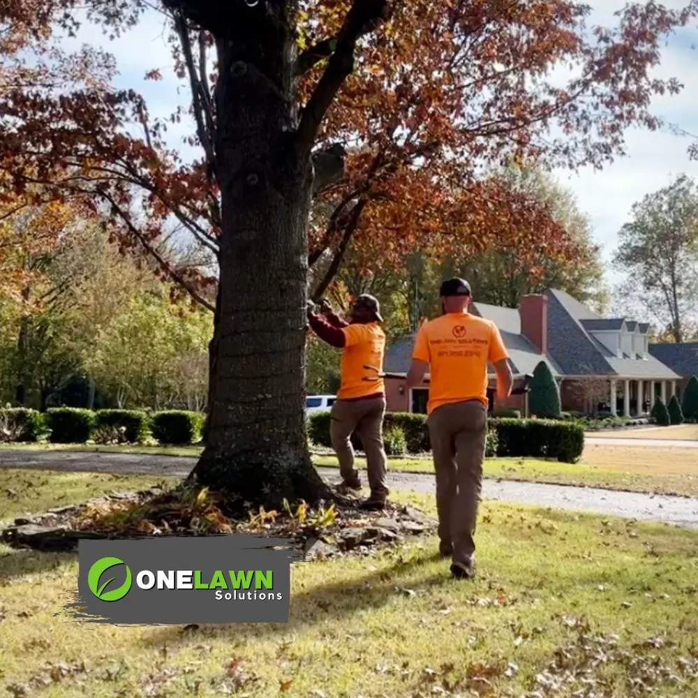 Affordable outdoor landscaping for year-round maintenance across Covington, TN - OneLawn Solutions
