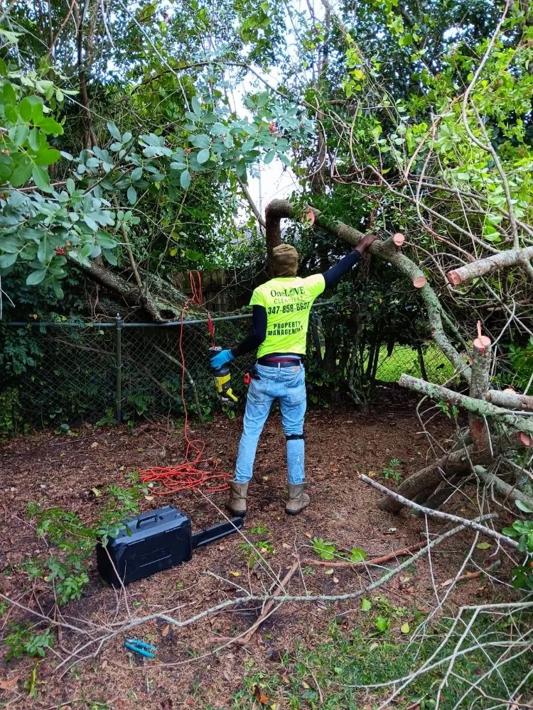 Affordable landscape design in Ocala, FL - Onelove Cleanerz