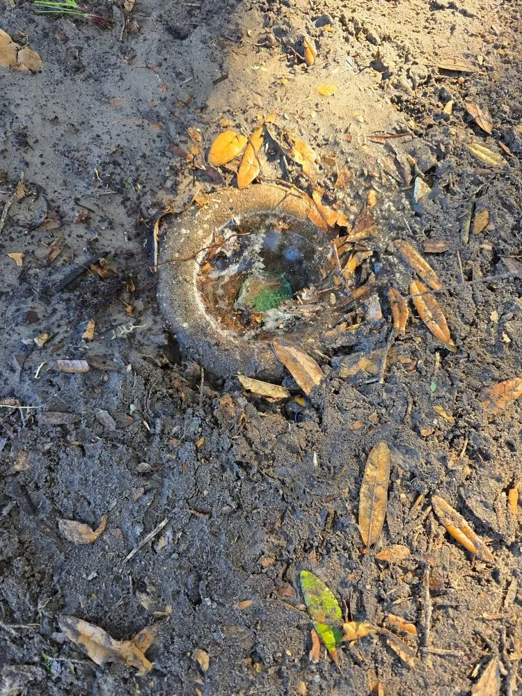 Top-rated landscape installation for homes in Ocala, FL by Onelove Cleanerz