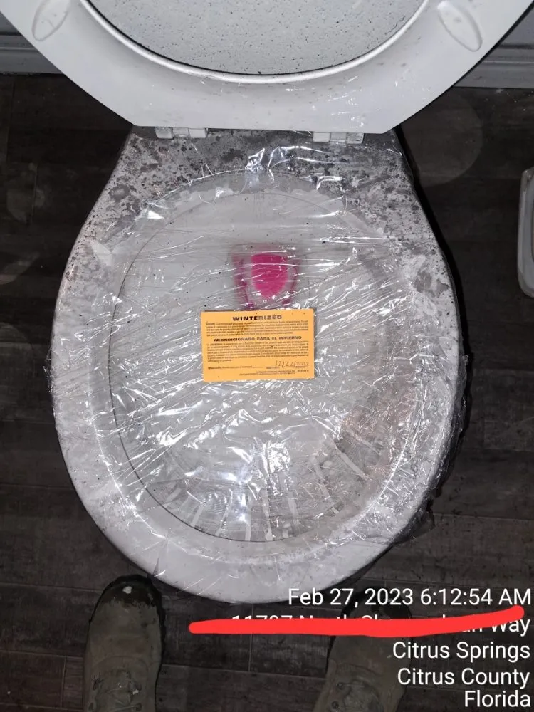 Reliable yard cleanup service with custom design in Ocala, FL by Onelove Cleanerz