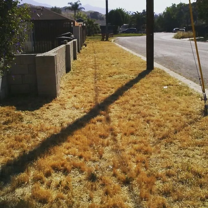 Professional yard cleanup service in Moreno valley, CA - Onelove Lawn & Garden