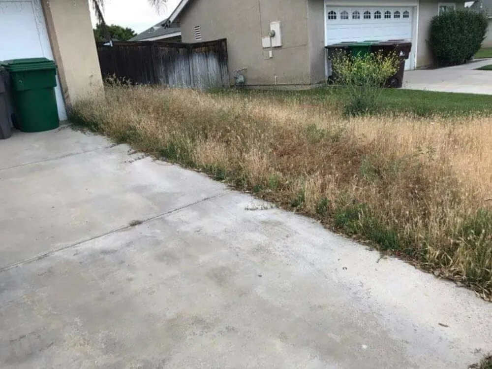 Expert landscape design for residential properties in Moreno valley, CA by Onelove Lawn & Garden