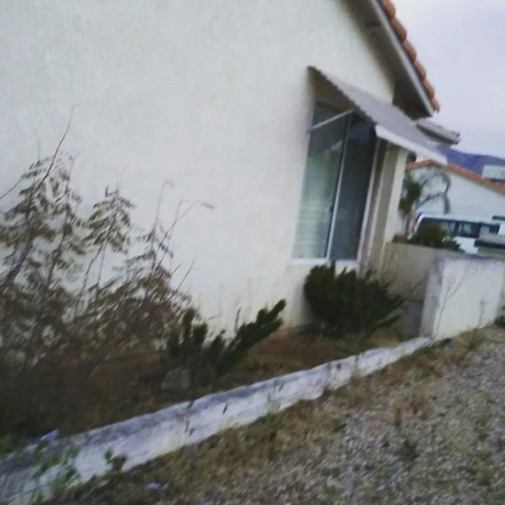 Reliable yard cleanup service for residential properties across Moreno valley, CA - Onelove Lawn & Garden