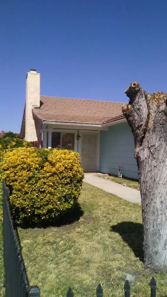 Affordable garden landscaping in Moreno valley, CA by Onelove Lawn & Garden