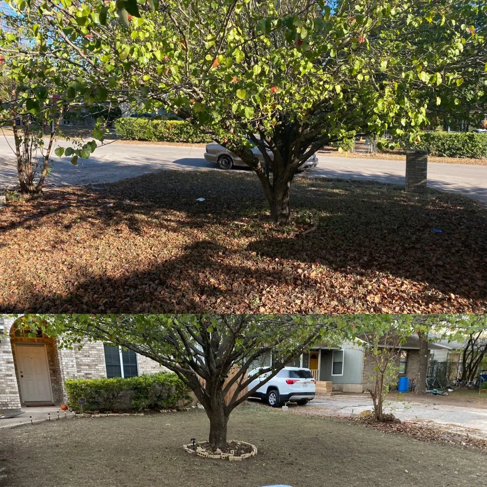 Reliable lawn mowing service for residential properties in Pflugerville, TX by OneMan OneLand Services