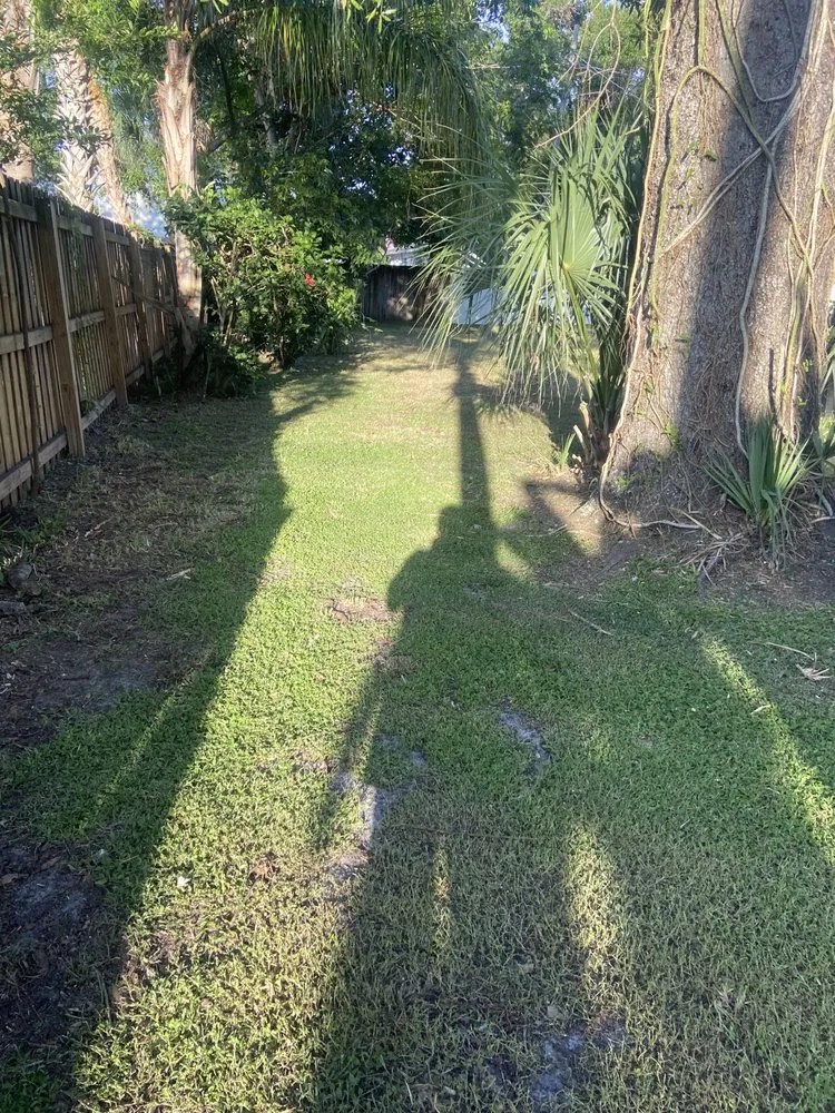 Expert lawn care service for year-round maintenance across Frisco, TX - OneNeighbor