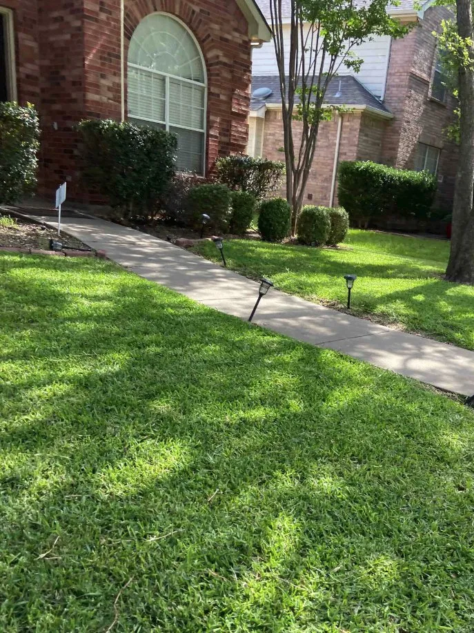 Affordable landscape design experts serving Frisco, TX - OneNeighbor