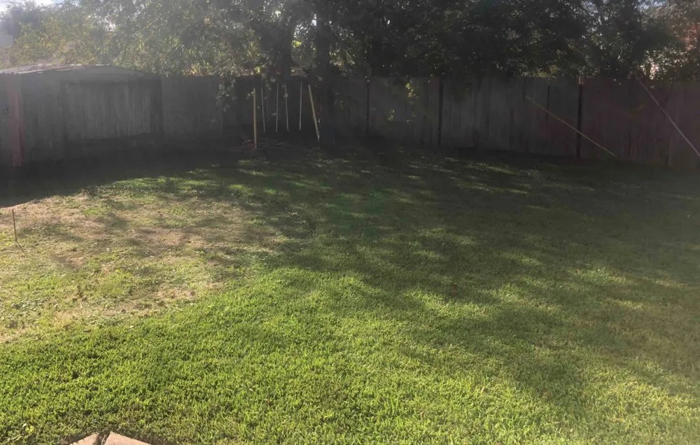 Local landscaping services for year-round maintenance across Frisco, TX - OneNeighbor