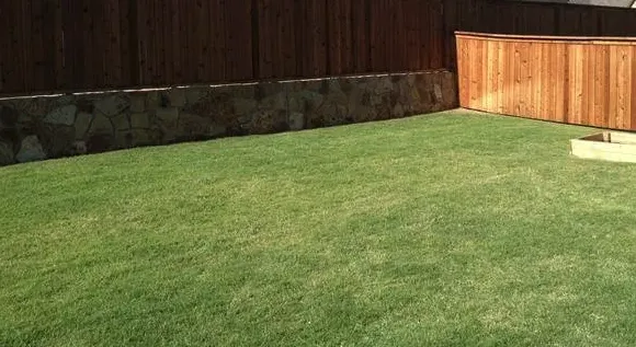 Affordable lawn care service for residential properties across Frisco, TX - OneNeighbor
