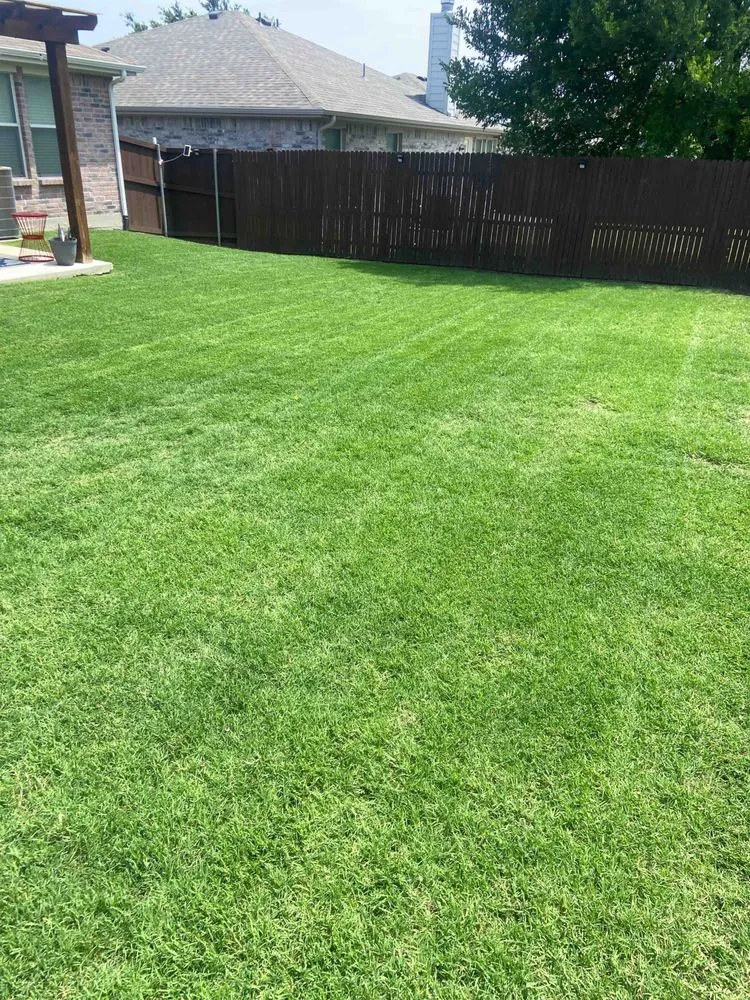 Custom yard cleanup service experts serving Frisco, TX - OneNeighbor