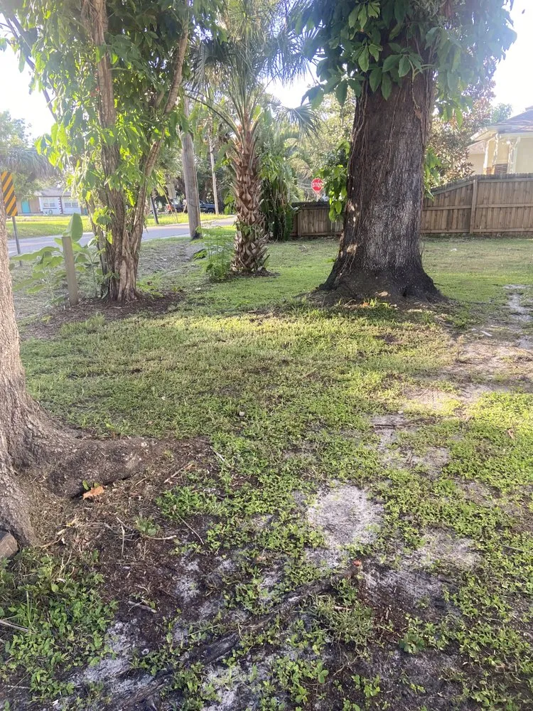 Expert lawn care service experts serving Frisco, TX - OneNeighbor