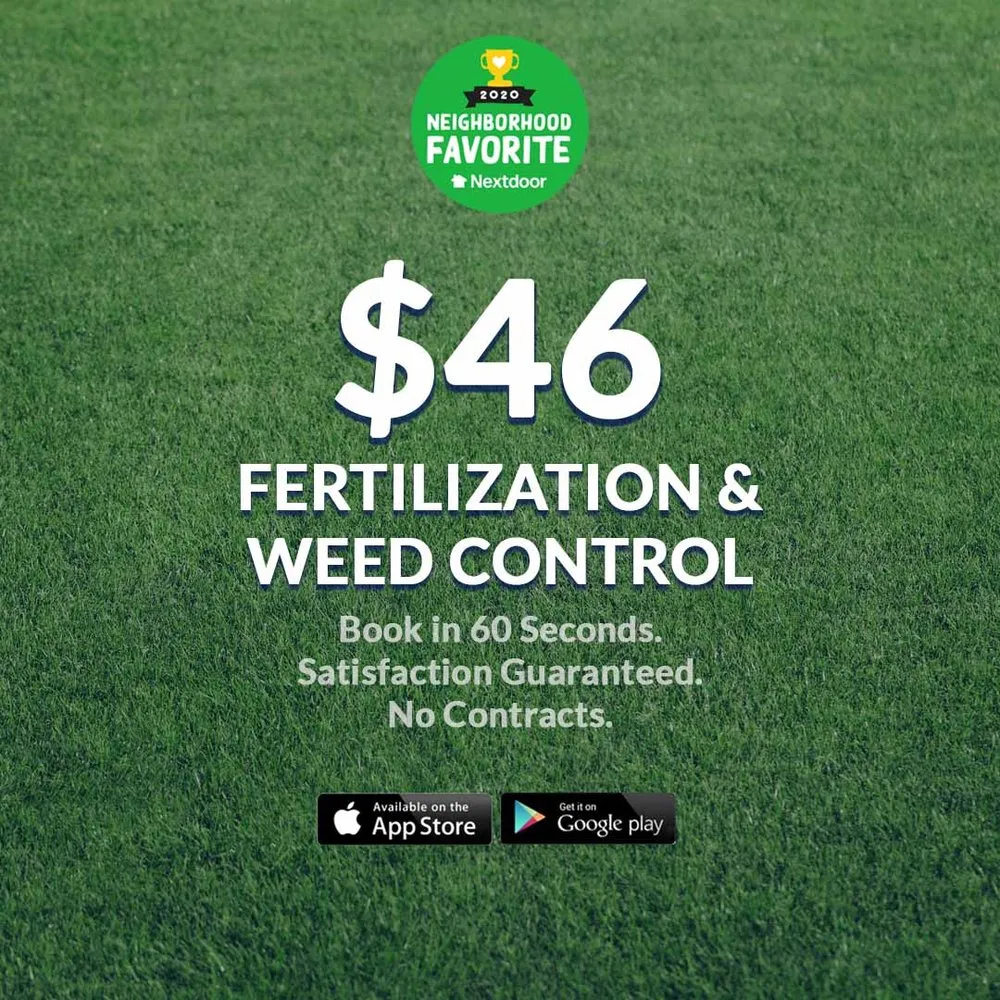 Professional landscape installation in Safety Harbor, FL by OneNeighbor