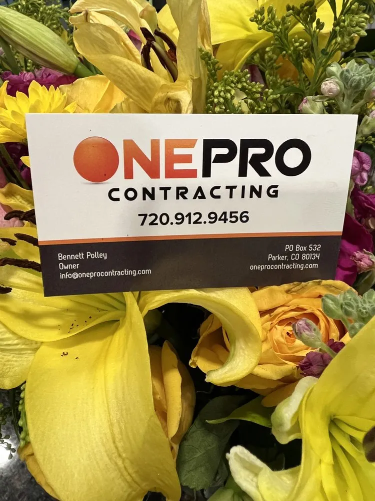 Local outdoor landscaping experts serving Parker, CO - OnePRO Contracting