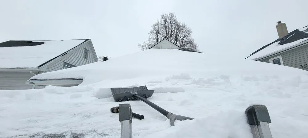 Affordable yard cleanup service experts serving Sioux Falls, SD - OneSTUDco
